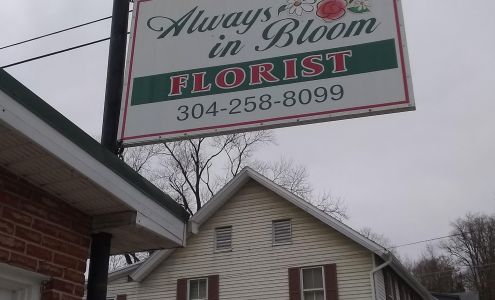 Always in Bloom Florist