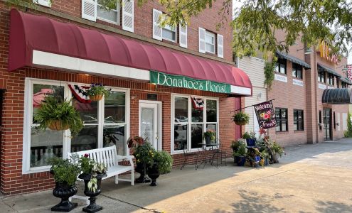 Donahoe's Whimsical Flowers