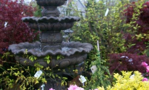 Olson's Garden Center