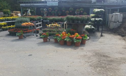 Willow Tree Garden & Flower Center