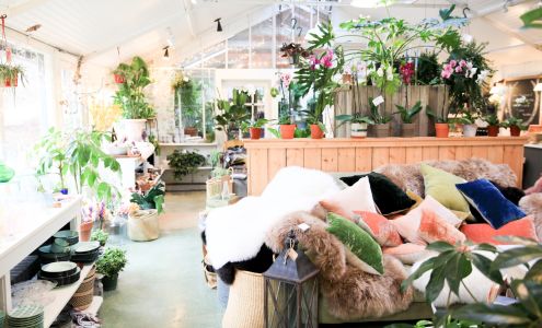 Morrice Florist of Martha's Vineyard