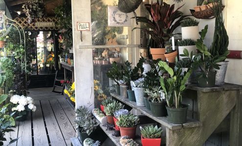 Eden Gardens by Donaroma's