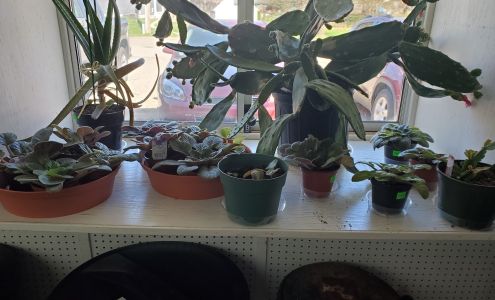 Yard 'N Garden Center & Florist