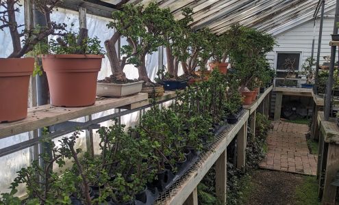 Green Witch Gardens (Formerly The Flower Market)