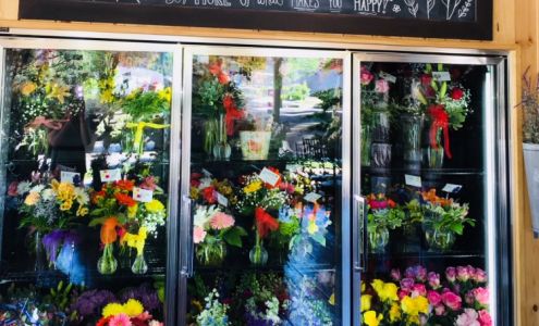 Blossom Shop - Local Traverse City Florist