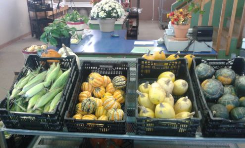 Dan & Jerry's Garden Center