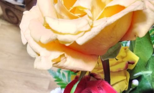 Petals West Florists Appleton City