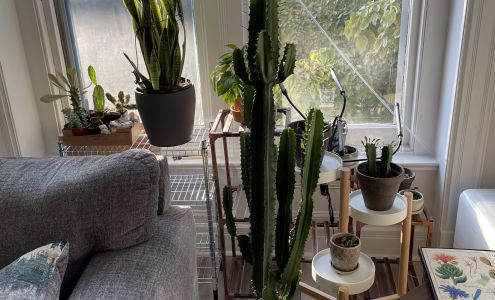 Fred Drummond Nursery