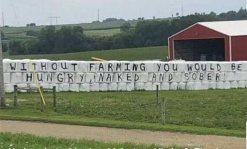 The Good Seed Company