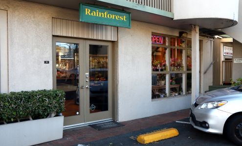 Rainforest at Kilohana Square