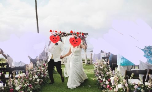 Sunya's Flowers & Plants