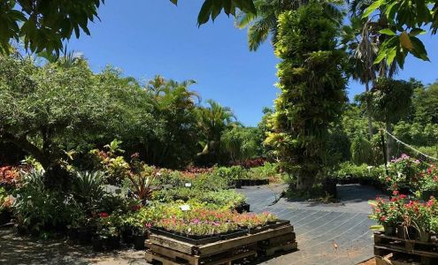 Kauai Seascapes Nursery Inc Kilauea