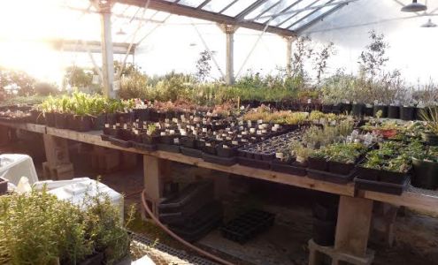 Arcana Gardens and Greenhouses Jericho