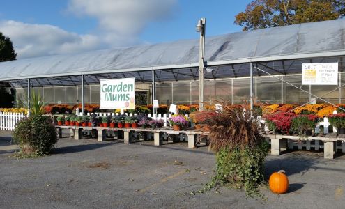 Binley Florist & Garden Center