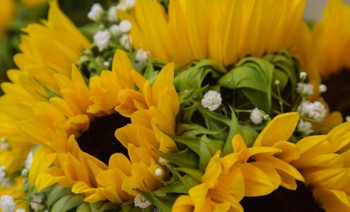 Petals & Bows Florist