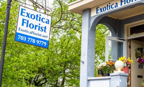 Exotica Florist