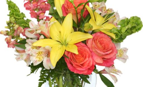 Annandale Florist