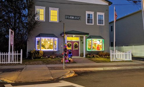 Sweet William & Thyme