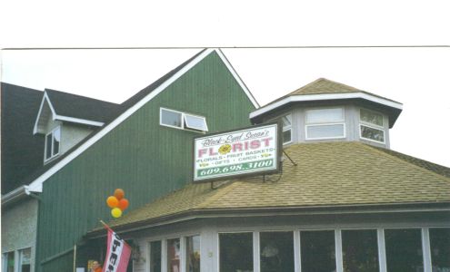 Black-Eyed Susan's Florist