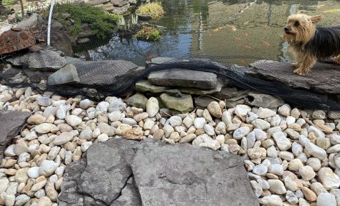 Hammett's Landscaping & Garden Center