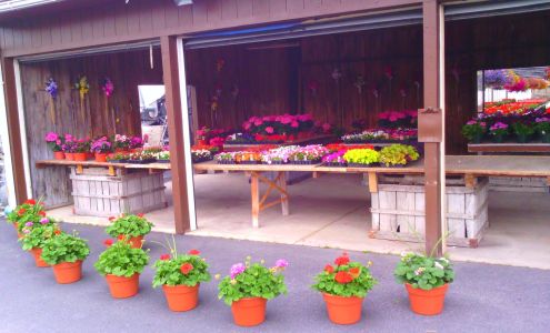 Raubs Florist & Greenhouses