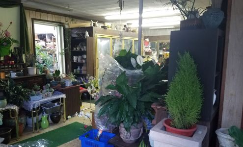 All Seasons Flowers & Gifts