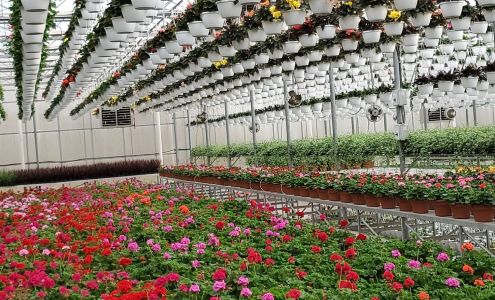 Bedford's Greenhouse