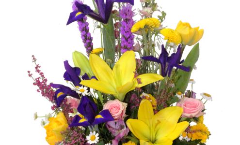 Garden of Life Flowers