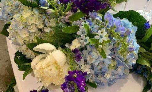 Elderberry Design & Flowers