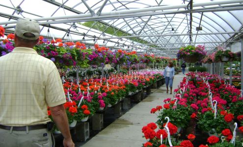 Pleasant Valley Greenhouses & Nursery Inc.