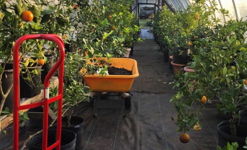 Shelton Herb Farm