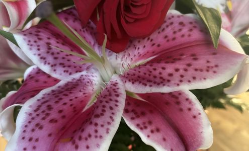 At All About Flowers LLC