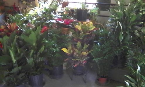 Brantley Flowers & Gifts