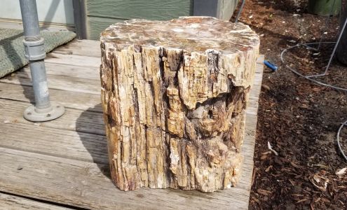 Wenzel Nursery College Place