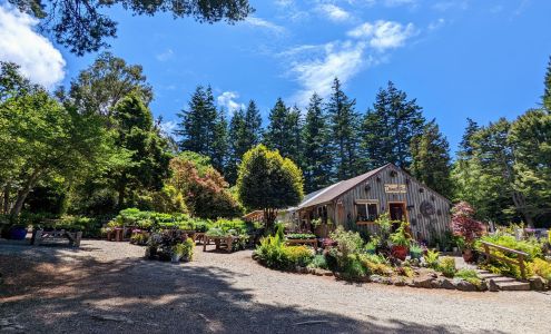 Dragonfly Farm & Nursery Langlois