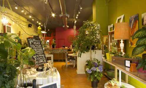 Lucy's Informal Flowers