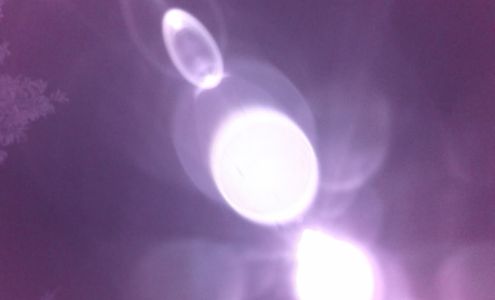 Vanguard Nursery White Salmon