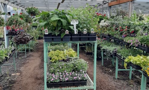 Boring Square Garden Center