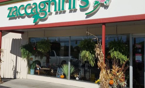 Zaccagnini Morgantown Florist