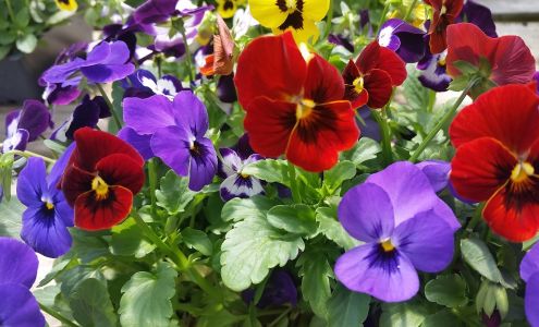 Broniak & Kraf Florist & Greenhouses