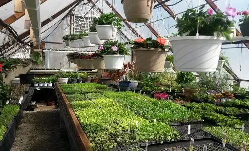 Henkel's Greenhouse Turtle Creek