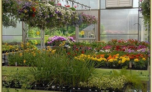 Wanner Landscaping & Garden