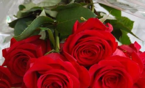 Indiana Floral & Flower Boutique