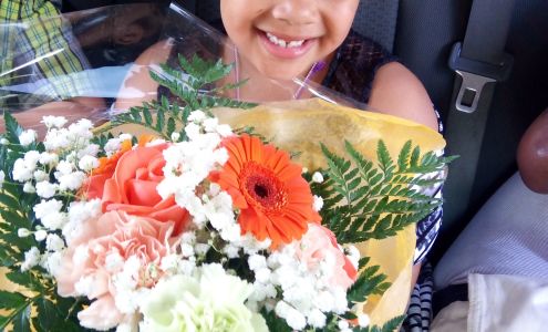 Anderson's Greenhouse