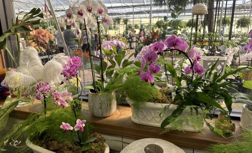 Forest Lake Greenhouses