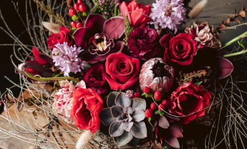 Jackson Blume Studio