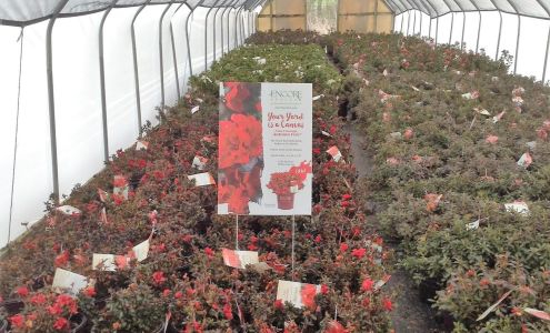 Boyd & Boyd Nursery