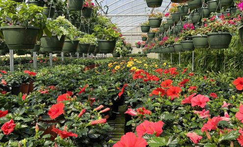 Williams Greenhouse