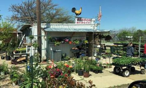 Rendon Nursery and Firewood