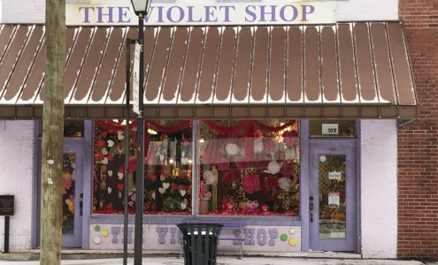 The Violet Shop